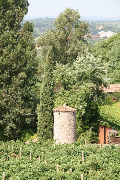 Agriturismo Corte Marzago Salionze Exterior foto